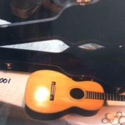 Cover image of Acoustic Guitar